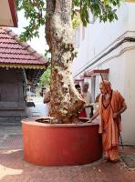Jeernashtabandha at UMD Mangaluru (23 April 2026) Photo Courtesy Shri Sushant Harite